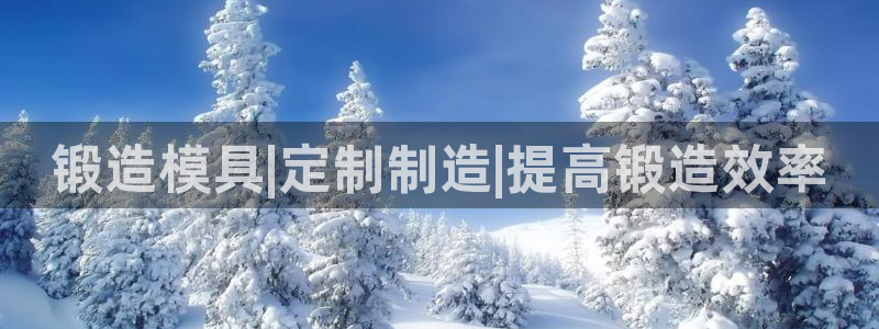 2138cn太阳集团古天乐：锻造模具|定制制造|提高锻造效率