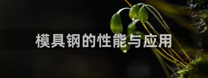 太阳成集团tyc33455cc