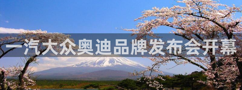 太阳集团市值：一汽大众奥迪品牌发布会开幕