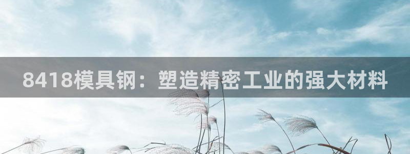 太阳集市网上商城：8418模具钢：塑造精密工业的强大材料