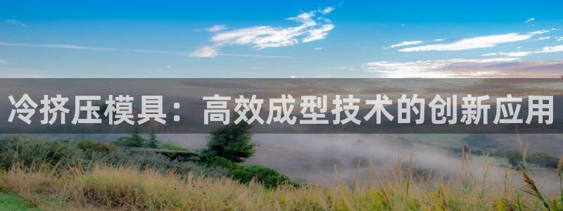 太阳诚集团网站：冷挤压模具：高效成型技术的创新应用