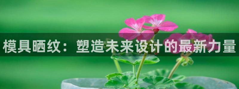 太阳集团游戏官方网址8827：模具晒纹：塑造未来设计的最新力量