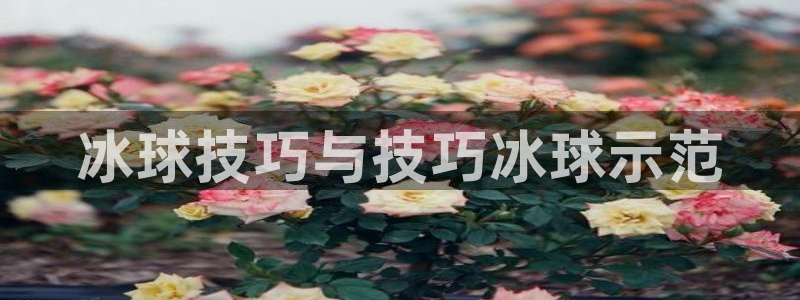 太阳集团电子游戏APP登录入口：冰球技巧与技巧冰球示范