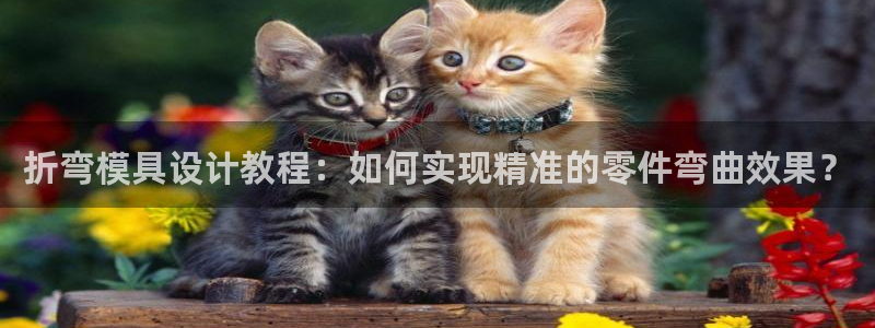 太阳集团网站古天乐代言