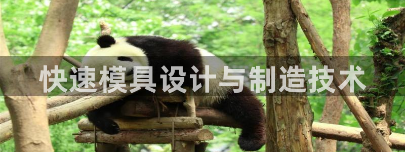 太阳集团城网站2：快速模具设计与制造技术