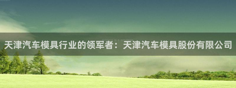 太阳集团是什么集团：天津汽车模具行业的领军者：天津汽车模具股份有限公司