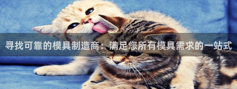 太阳商城贵宾会2017cm：寻找可靠的模具制造商：满足您所有模具需求的一站式