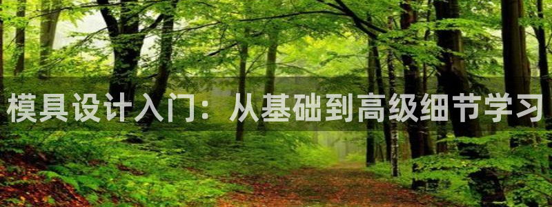 太阳集团高科技发展有限责任公司：模具设计入门：从基础到高级细节学习