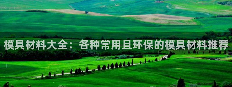 太阳成集团下载：模具材料大全：各种常用且环保的模具材料推荐