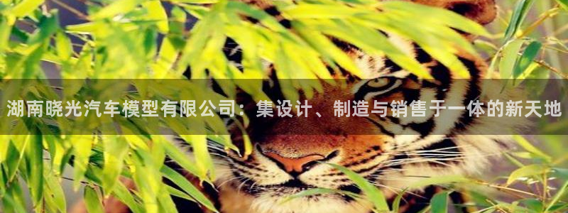 太阳集团1088vip：湖南晓光汽车模型有限公司：集设计、制造与销售于一体的新天地