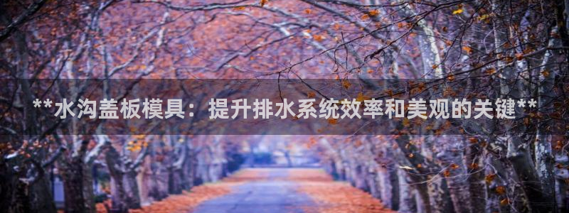 太阳阳城集团太阳卡：**水沟盖板模具：提升排水系统效率和美观的关键**