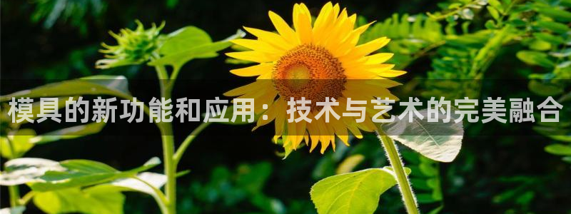 太阳集团控股有限公司官网香港：模具的新功能和应用：技术与艺术的完美融合
