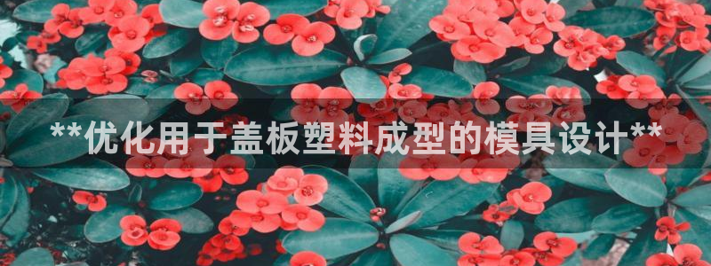 太阳集团娱乐所有网站app游戏优势：**优化用于盖板塑料成型的模具设计**