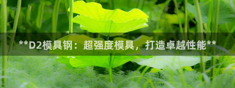 太阳诚集团有限公司怎么样：**D2模具钢：超强度模具，打造卓越性能**