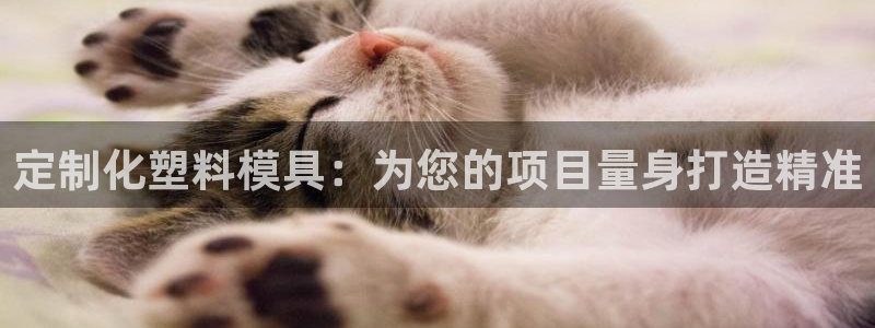 太阳集团官网8722：定制化塑料模具：为您的项目量身打造精准