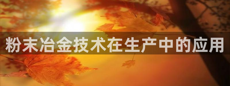 江苏太阳集团冷青松：粉末冶金技术在生产中的应用