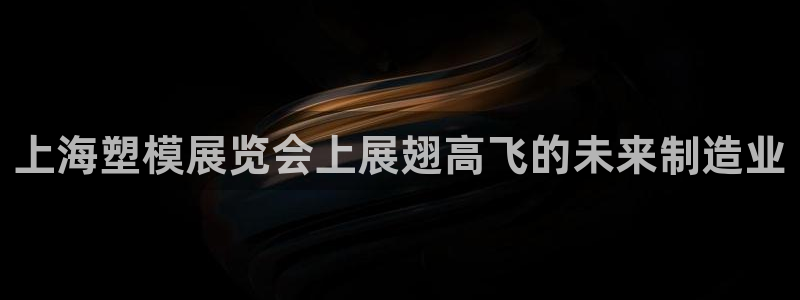 太阳阳城集团有限公司：上海塑模展览会上展翅高飞的未来制造业