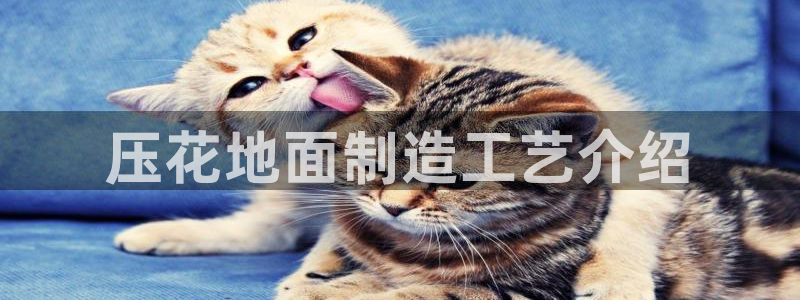 太阳诚集团有限公司是国企吗还是私企：压花地面制造工艺介绍