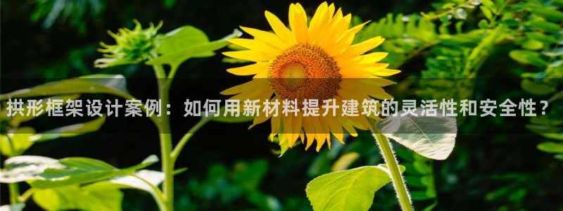 太阳诚集团有限公司怎么样：拱形框架设计案例：如何用新材料提升建筑的灵活性和安全性？