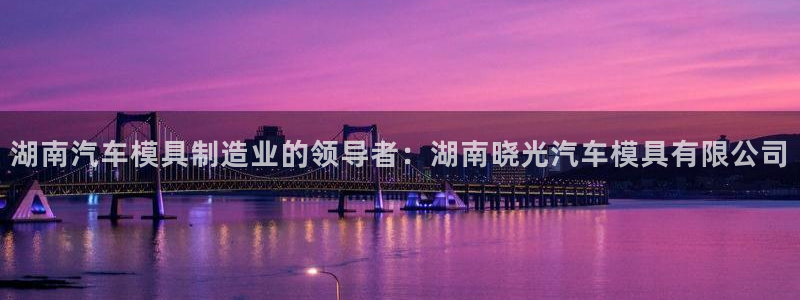太阳诚集团APP在线观看：湖南汽车模具制造业的领导者：湖南晓光汽车模具有限公司