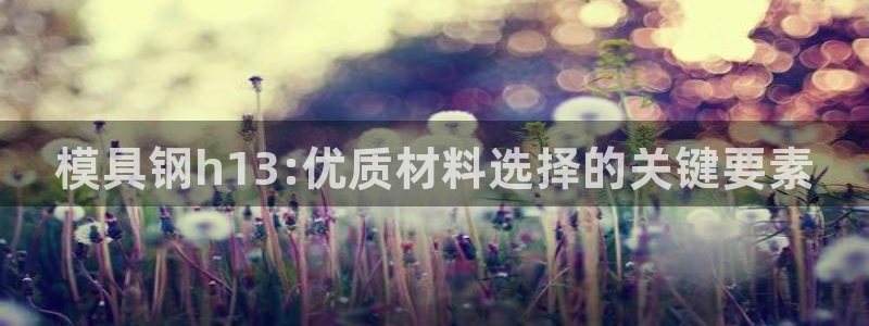 古天乐太阳集团网址：模具钢h13:优质材料选择的关键要素