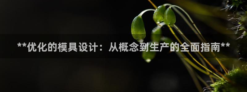 太阳集团不能提现怎么办：**优化的模具设计：从概念到生产的全面指南**