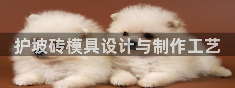 太阳集团网站古天乐代言：护坡砖模具设计与制作工艺