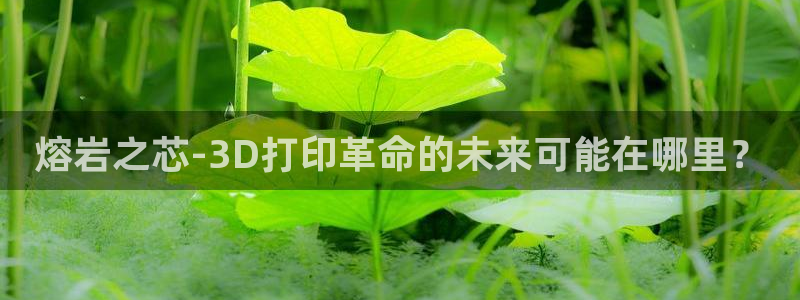 古天乐 太阳灯：熔岩之芯-3D打印革命的未来可能在哪里？
