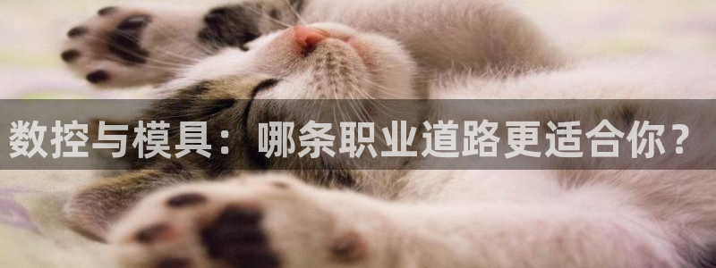 太阳成集团tyc234cc：数控与模具：哪条职业道路更适合你？