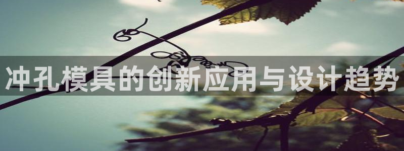 太阳成集团tyc234cc集团产业：冲孔模具的创新应用与设计趋势