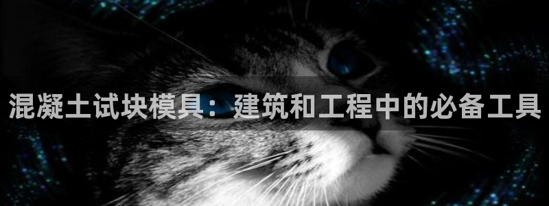 太阳集团的老总是谁：混凝土试块模具：建筑和工程中的必备工具