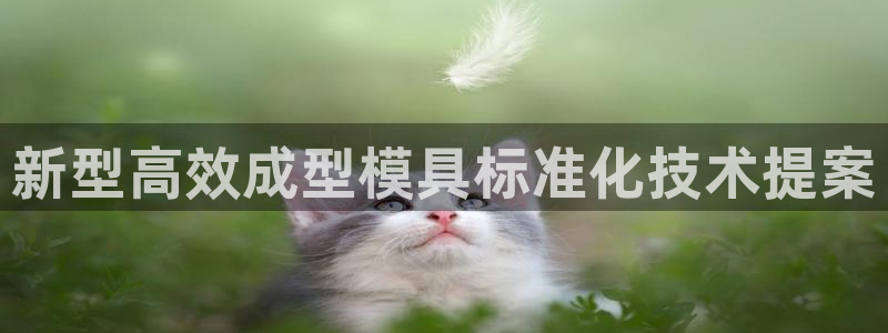 太阳集团电子游戏宙斯：新型高效成型模具标准化技术提案