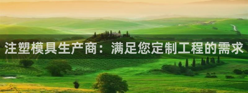 太阳集团2018网址：注塑模具生产商：满足您定制工程的需求