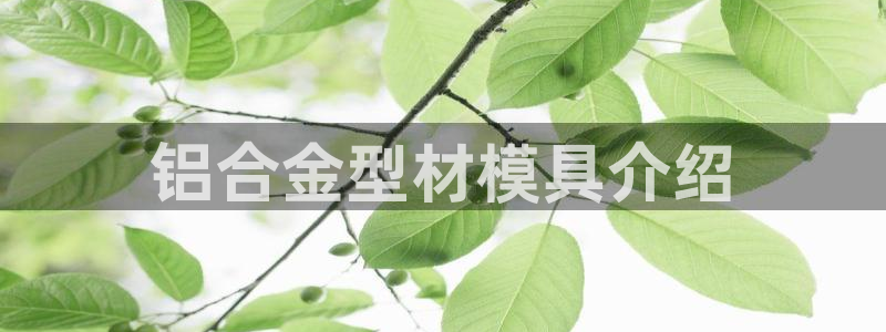 2018太阳集团游戏网站：铝合金型材模具介绍