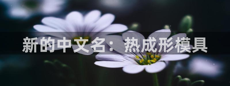太阳成集团tyc234cc主页网站：新的中文名：热成形模具