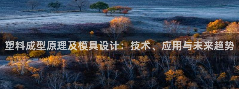 太阳集团游戏App：塑料成型原理及模具设计：技术、应用与未来趋势