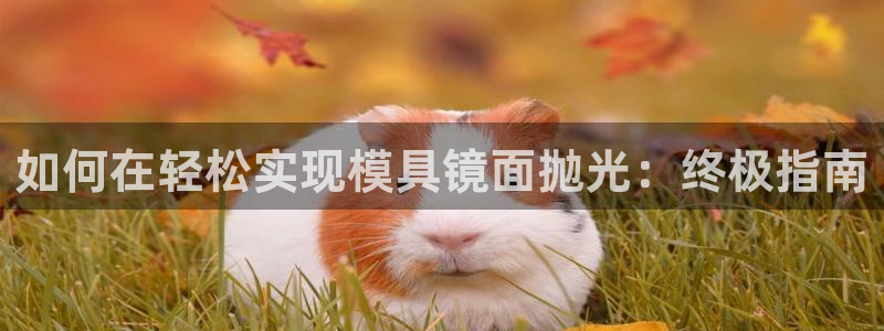太阳成集团古天乐：如何在轻松实现模具镜面抛光：终极指南
