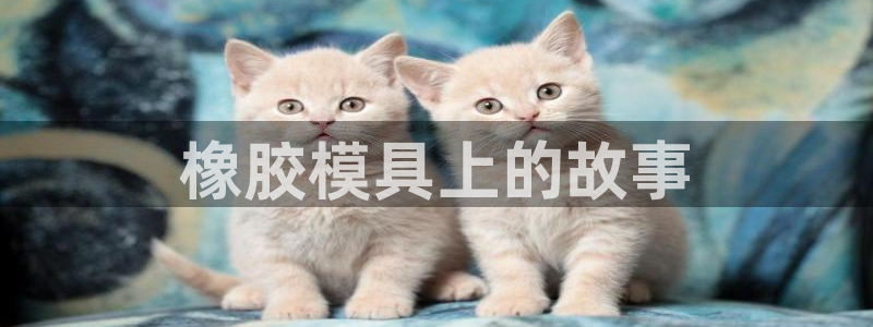 太阳集团网站入口官网网址：橡胶模具上的故事