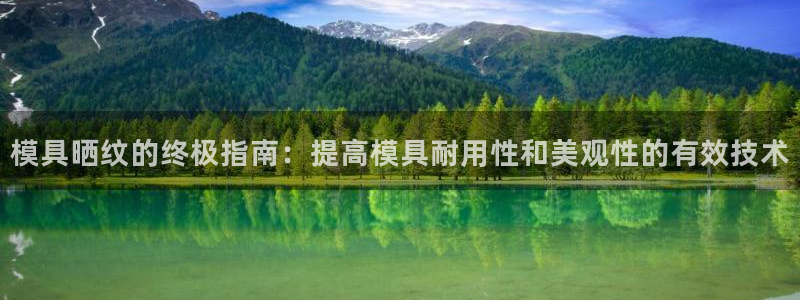 太阳集团网址首页：模具晒纹的终极指南：提高模具耐用性和美观性的有效技术