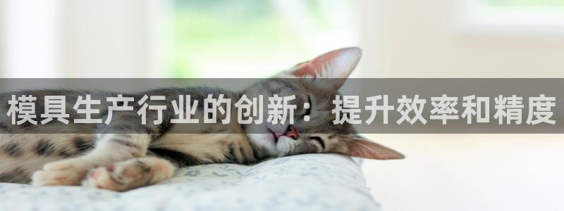太阳诚集团下载：模具生产行业的创新：提升效率和精度
