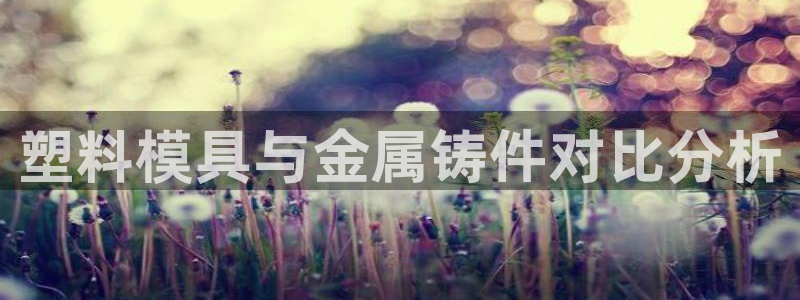 15vip太阳集团官网：塑料模具与金属铸件对比分析