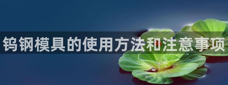 太阳集团董事长是谁照片：钨钢模具的使用方法和注意事项