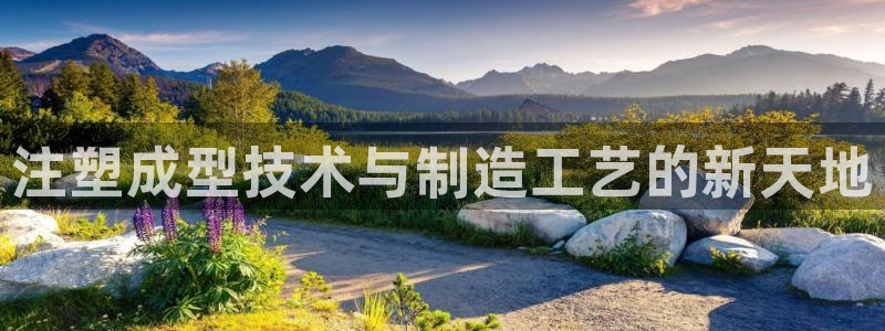 太阳集团游戏城(138)官方网址：注塑成型技术与制造工艺的新天地