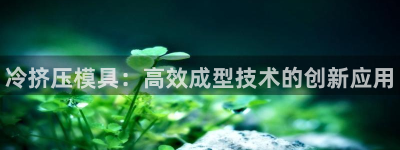 太阳成集团娱乐网站：冷挤压模具：高效成型技术的创新应用
