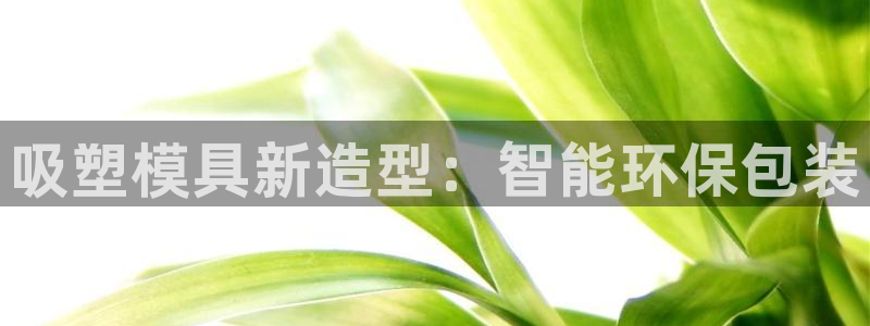 太阳集团城网址娱网首页