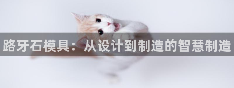 太阳 官网：路牙石模具：从设计到制造的智慧制造