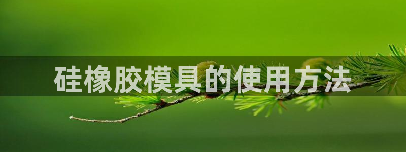 太阳app下载安装：硅橡胶模具的使用方法