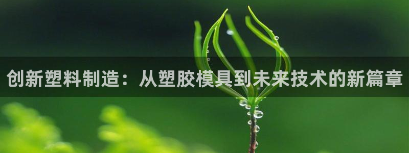 太阳成集团没有赌业吗：创新塑料制造：从塑胶模具到未来技术的新篇章