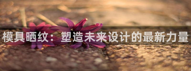 太阳成集团tyc122cc：模具晒纹：塑造未来设计的最新力量
