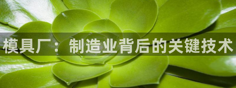 太阳集团app十佳平台是什么：模具厂：制造业背后的关键技术